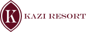 website logo